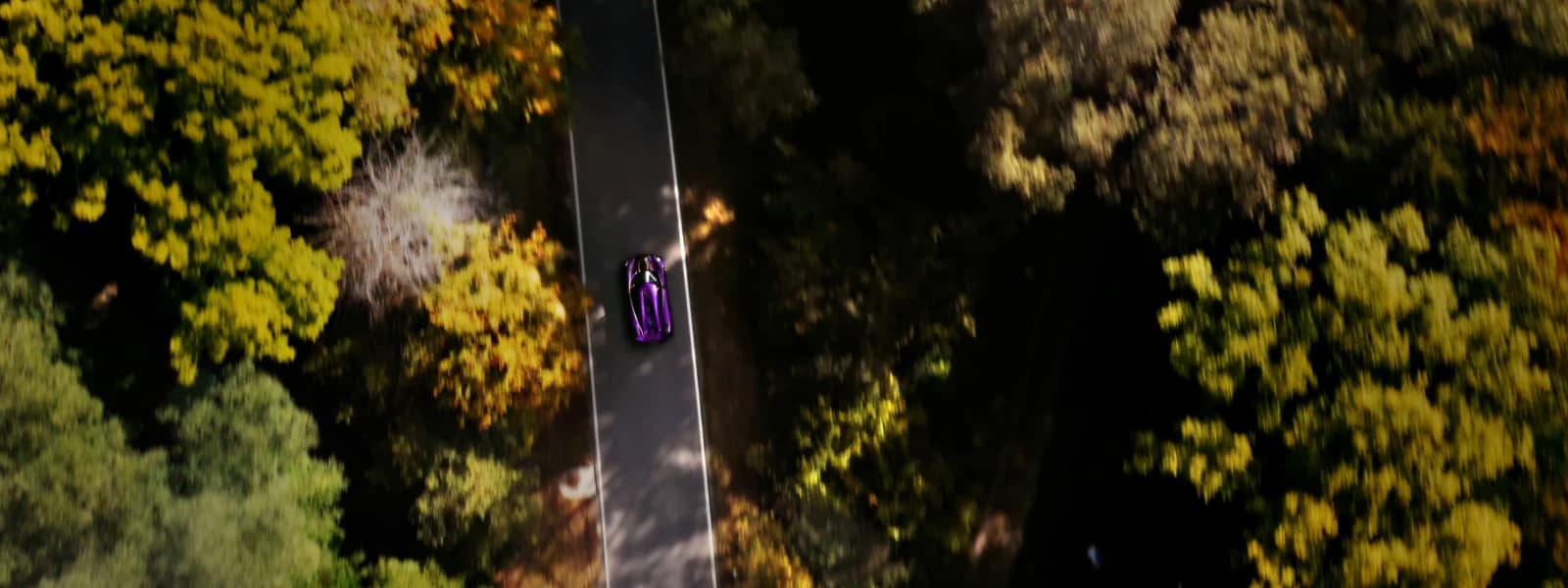 Luftaufnahme eines violetten Sportwagens auf einer herbstlichen Landstraße. Projekt von Dreamscope für PAMO x SAY
